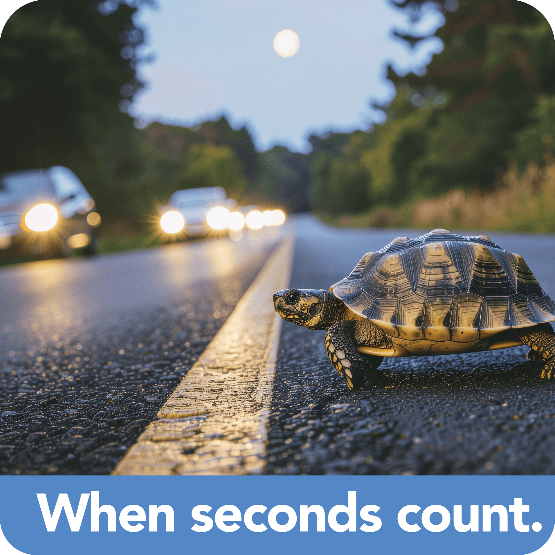 get_mote_done_web_seconds_count_light